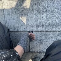 画像1484